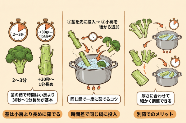 ブロッコリー
